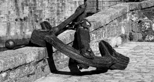 Diversification as an Anchor
