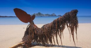 Diversification as an Anchor