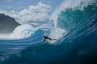 Riding the Waves: Profiting
