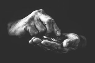 The Alchemist's Touch